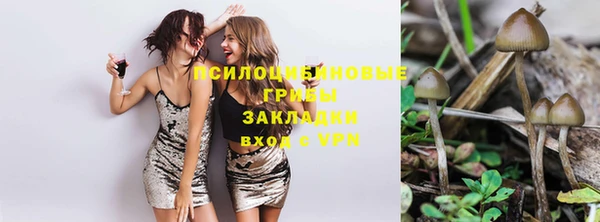 прущий лед Алексеевка