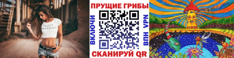 Галлюциногенные грибы MAGIC MUSHROOMS  Нарьян-Мар 